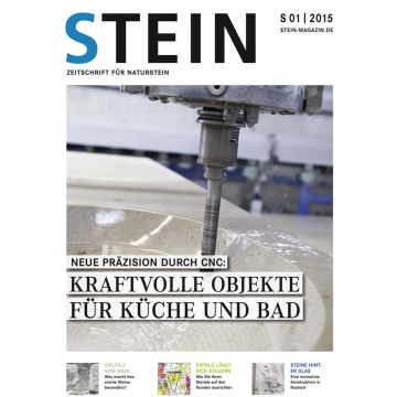 STEIN 01/15