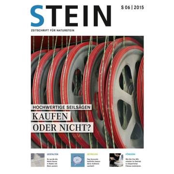 STEIN 06/15