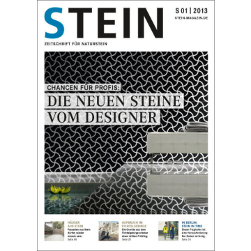 STEIN 01/13